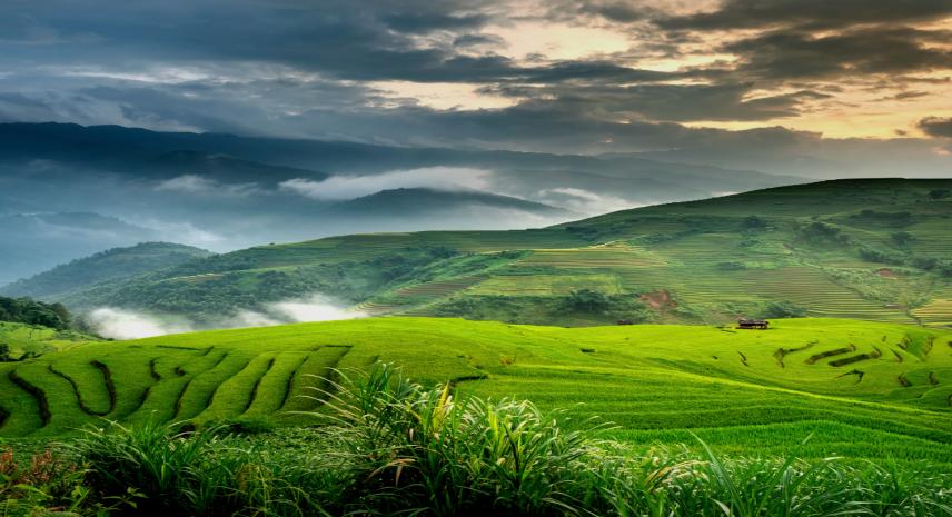 9. Coorg, Karnataka